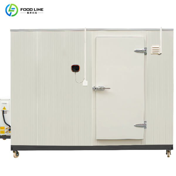 cold storage portable