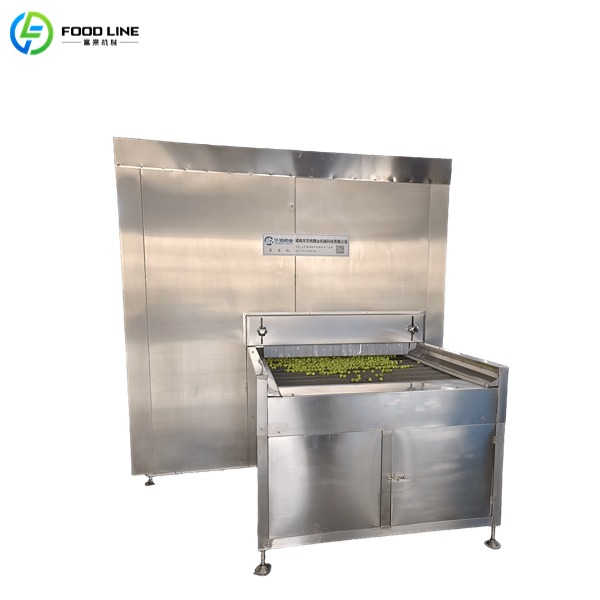 IQF tunnel freezer