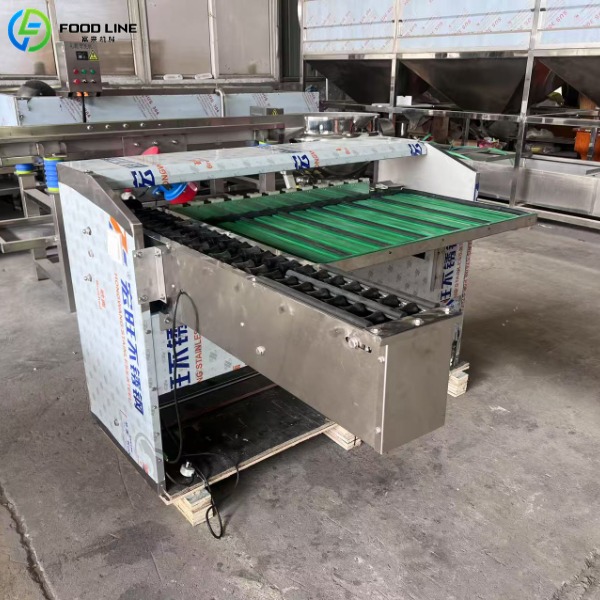 automatic egg grading machine