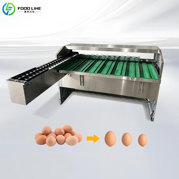 egg grading equipment