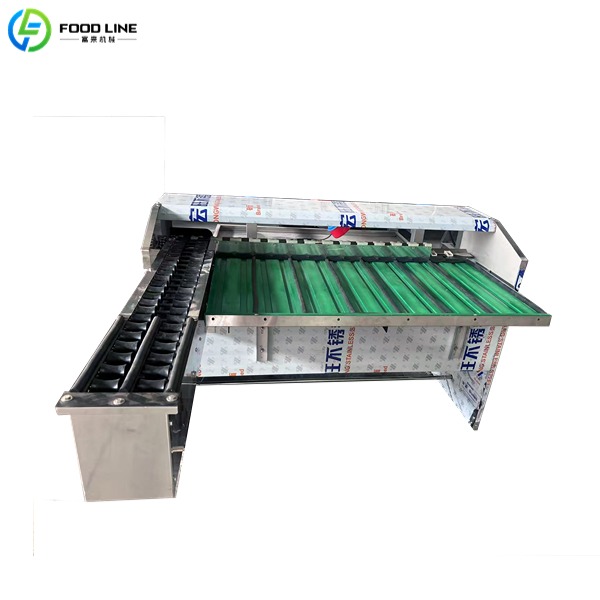 egg grading machine