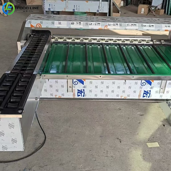 egg size sorting machine
