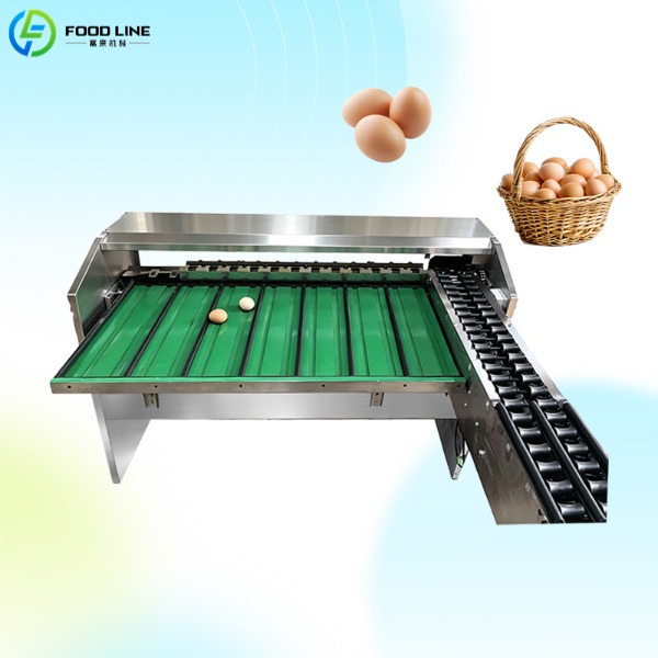 egg sorting machine