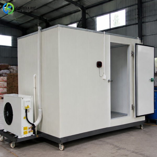 temporary cold storage