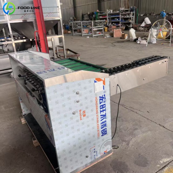 automatic egg storing machine