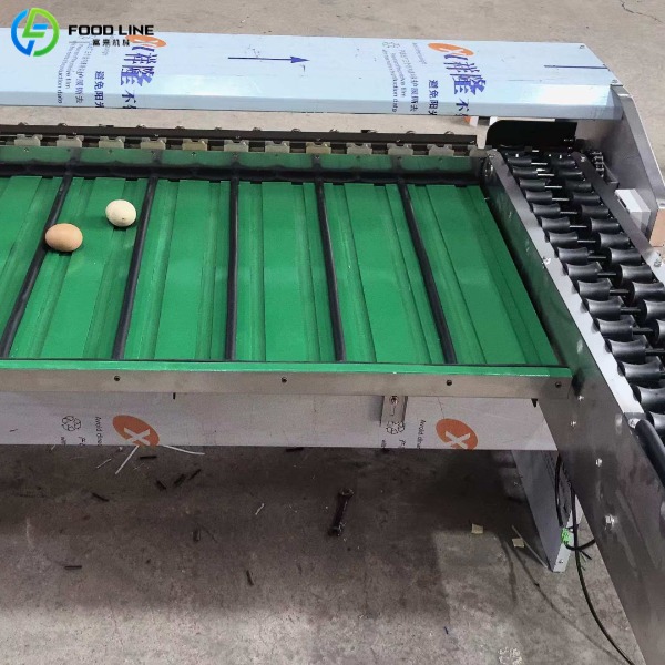 egg grading machine for sale