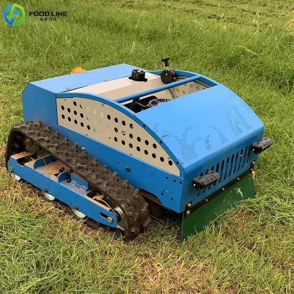 robot lawn mower price